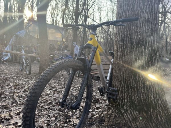 Велосипед Pride Revenge 9.2 хардтейл 29" фото 4