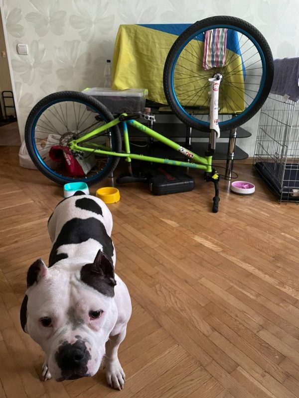 Велосипед Norco Ryde 2014 фото 10