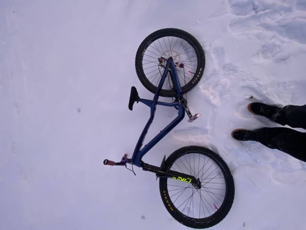 Dartmoor Hornet Pro 27.5 фото 1