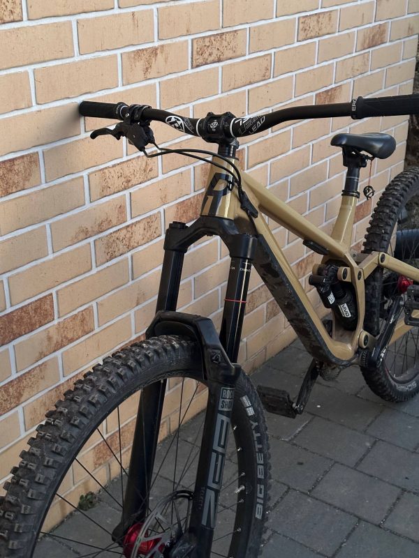 Двопідвіс Rose Scrub SC L фото 4