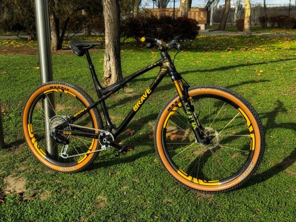 BH Lynx SLS 9.9 кастомізований 29" карбон Fox SRAM