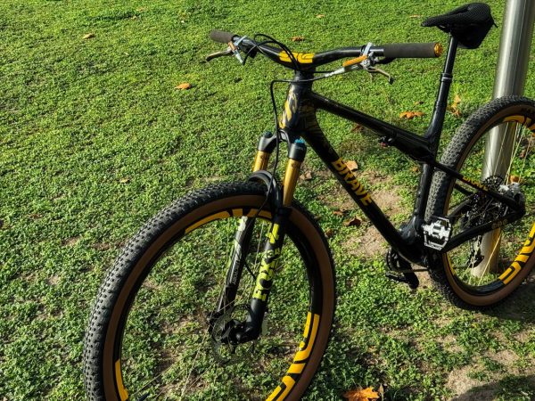 BH Lynx SLS 9.9 кастомізований 29" карбон Fox SRAM фото 2