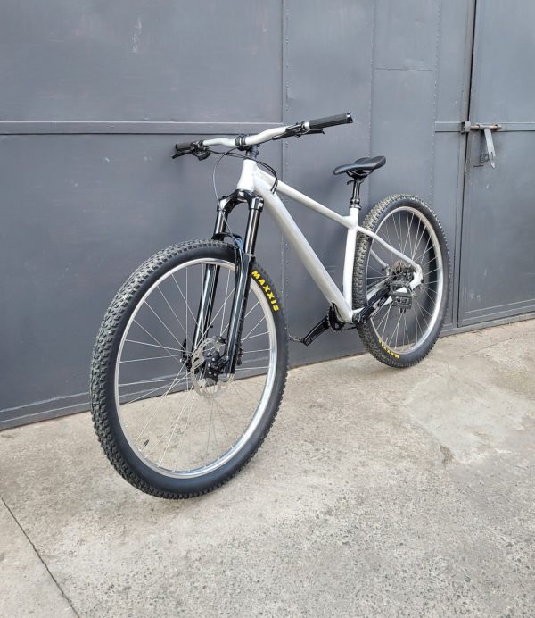 Pride Revenge 29" M кастомна зборка фото 1